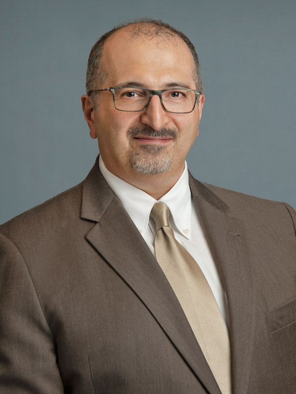 Faculty profile photo of Omid  Barzideh