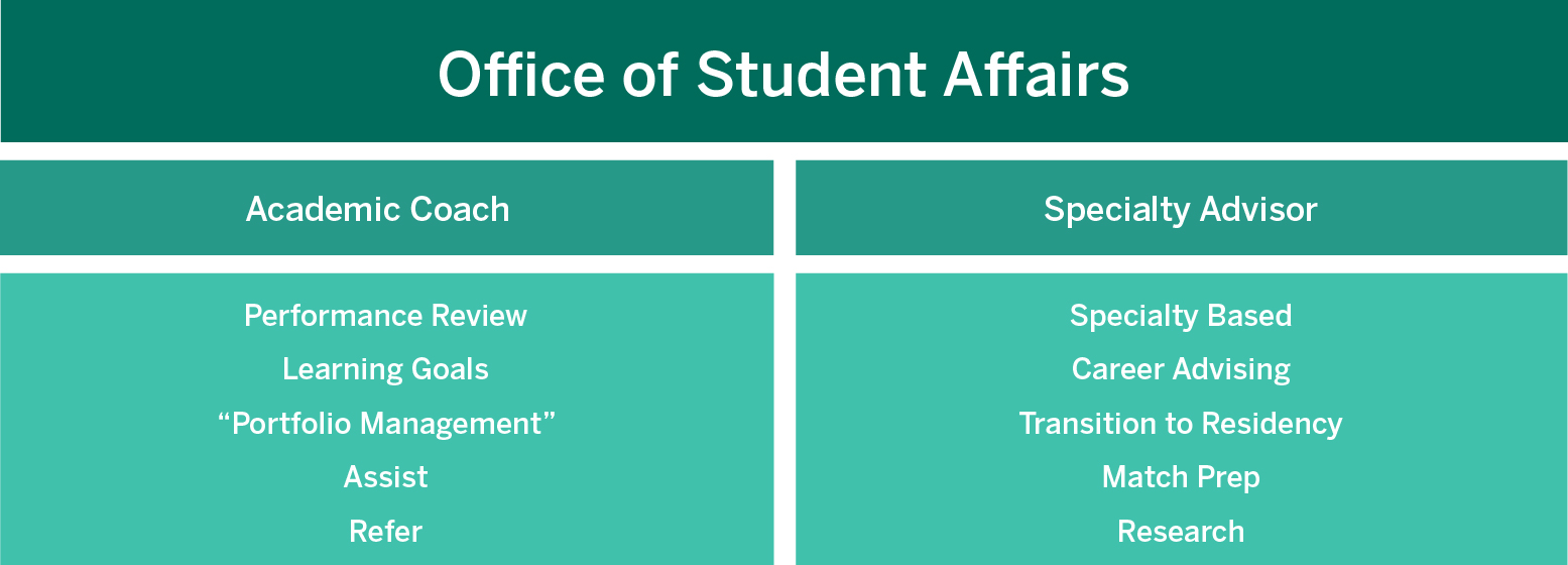 Types of Mentors for MD Students